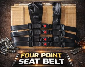 Four Point Seat Belt